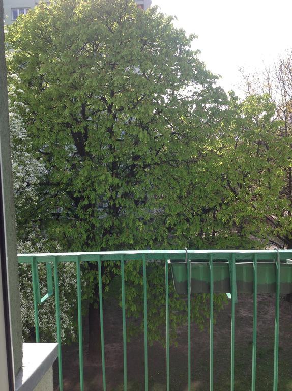 Kazimir Apartament Lodz Bagian luar foto